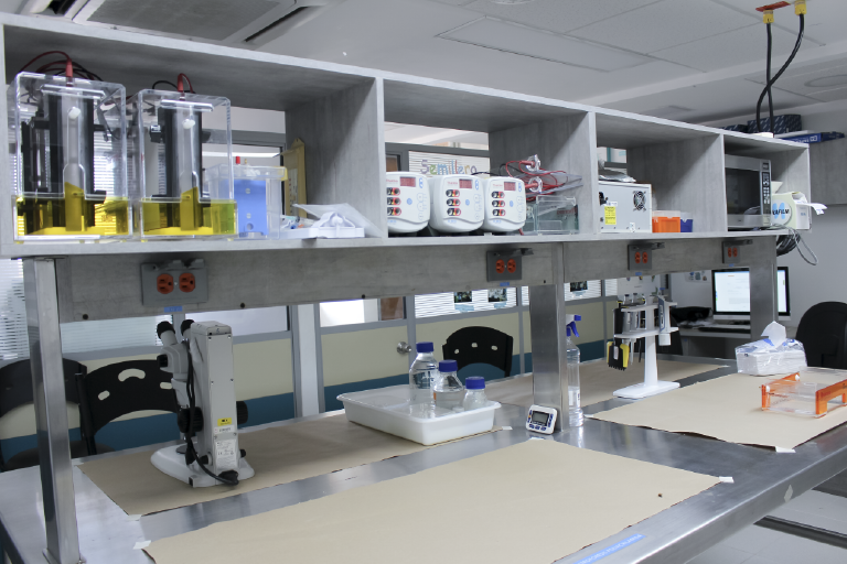 It is important for the School of Biology to know the facilities that are at the service of students and the university community. The photo was taken at the School of Biology, it is a general plan where you can appreciate the working tools that the laboratory has.