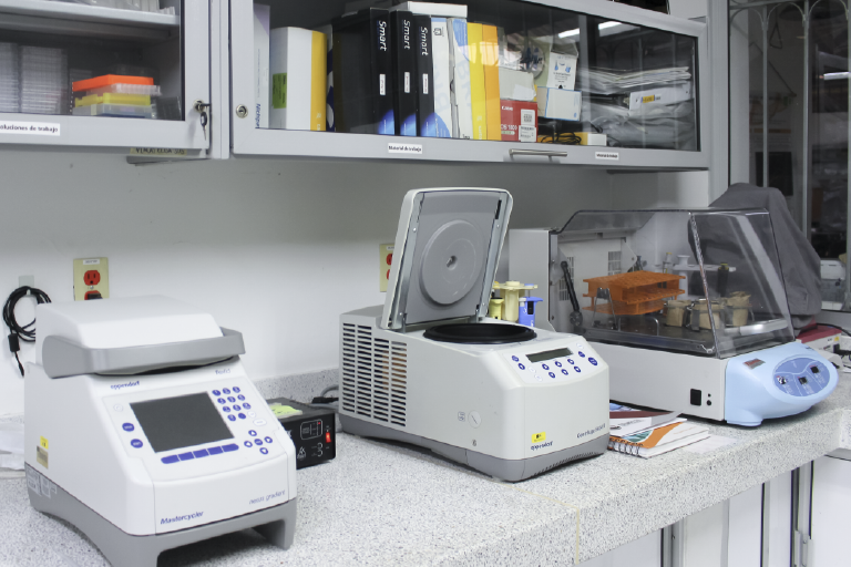 It is important for the School of Biology to show the facilities at the service of students and the university community. The photo was taken in the School of Biology, is a close-up where you can appreciate the working tools that the laboratory has.