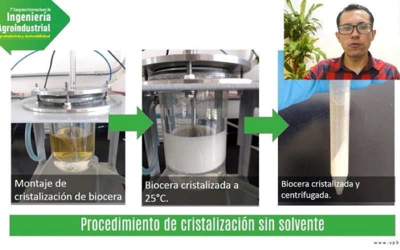 Solvent-free crystallization process 