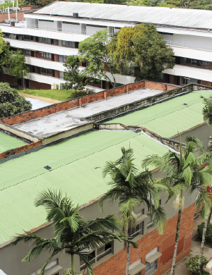 It is important for the School of Law and Political Science to show the facilities at the service of students and the university community. Photo taken at the school, a close-up view of the roof of the building and the palmettes at the entrance.