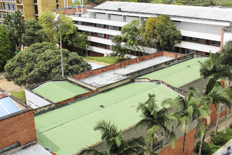 It is important for the School of Law and Political Science to show the facilities at the service of students and the university community. Photo taken at the school, a close-up view of the roof of the building and the palmettes at the entrance.