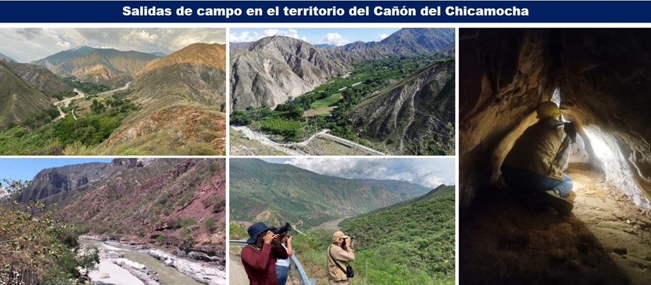 Imágenes de las salidas de campo al territorio del Cañón del Chicamocha 