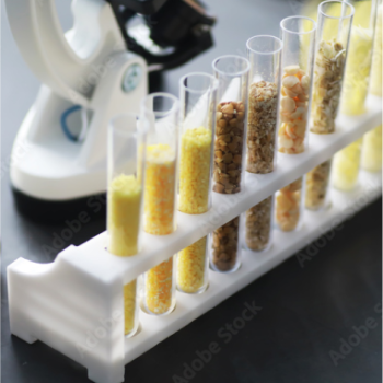 The School of Biology UIS presents to the educational community and the general public the research lines of its Biodiversity Study Group (GEBIO). Photo taken from the image stock showing laboratory samples in test tubes.