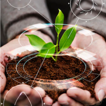 The School of Biology UIS presents to the educational community and the general public the research lines of its Research Group in Plant Ecophysiology & Terrestrial Ecosystems (GIEFIVET). Photo taken from the stock images showing a plant in the hands of a person.