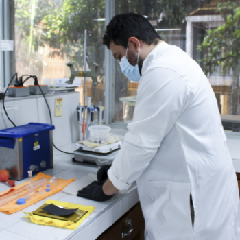 La Escuela de Química UIS presenta a la comunidad educativa y al público en general las líneas de investigación de su Grupo de Investigación en Bioquímica y Microbiología (GIBIM). Foto tomada en la Escuela de Química, primer plano de uno de los miembros del grupo utilizando uno de los equipos del laboratorio.