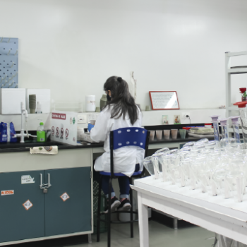 La Escuela de Química UIS presenta a la comunidad educativa y al público en general las líneas de investigación de su Laboratorio Químico de Suelos (LQS). Foto en plano general del laboratorio donde aparece una mujer sentada de espaldas trabajando en uno de los mesones.